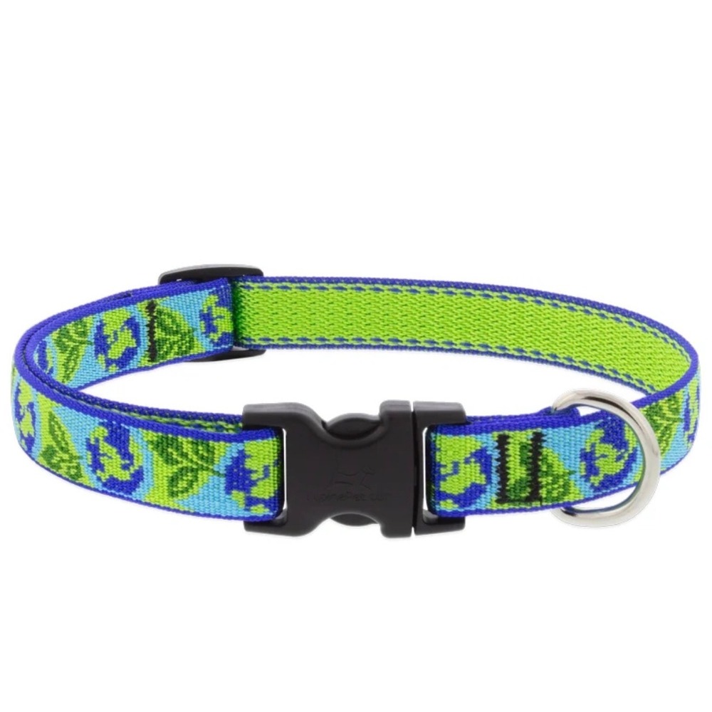 Lupine Pet Dog Collar Earth Day -  3/4 Inch width NWOT 13-22"
